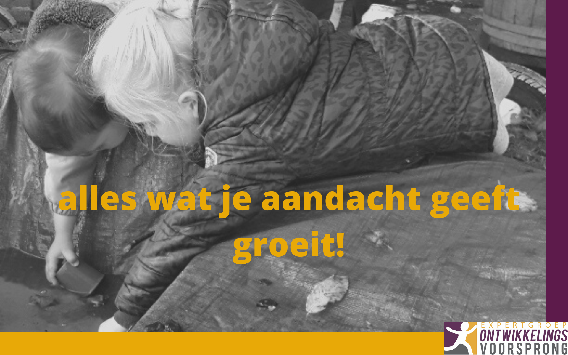 Home Expertgroep Ontwikkelingsvoorsprong